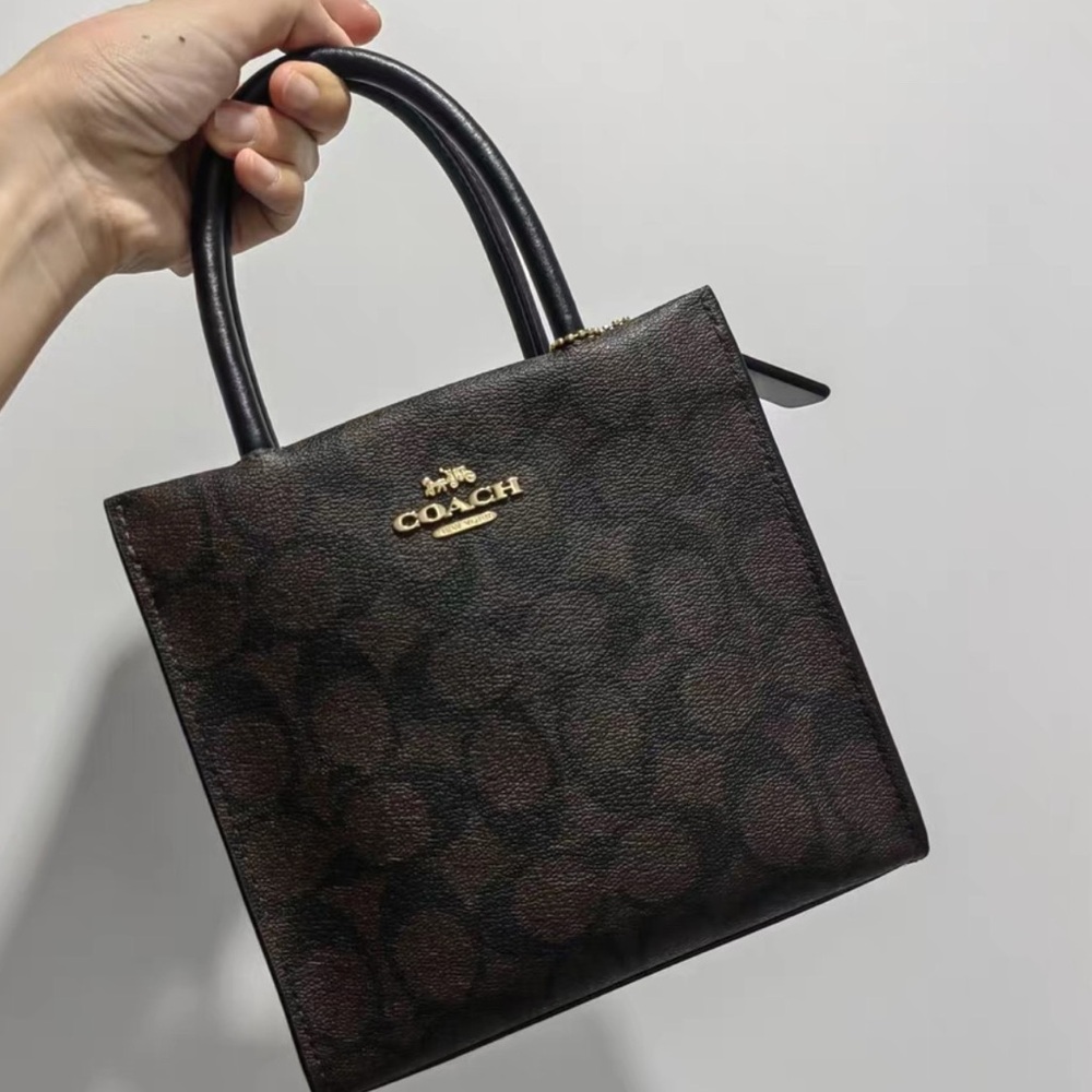 Coach Brown-Black Bag - Picture 1 of 6